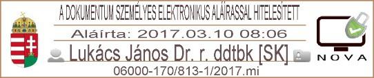 formátumú dokumentumok (PAdES típusú), ML formátumú dokumentumok (AdES típusú) elektronikus bélyegzővel és időbélyeggel hitelesíthetők. 45.