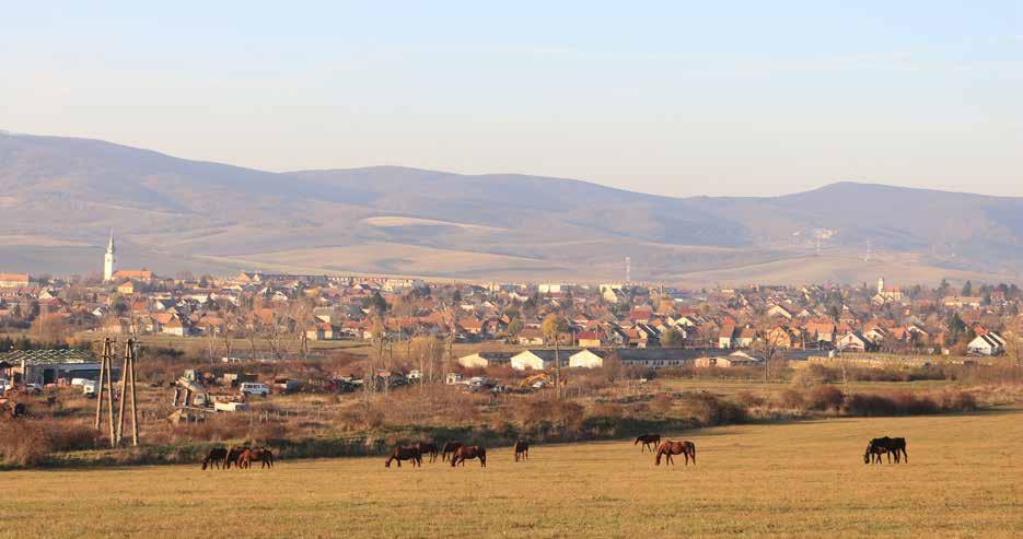 2. PÁSZTÓ BEMUTATÁSA A Mátra nyugati kapuja Pásztó, a Zagyva-folyó völgyében, a Mátra- és a Cserhát-hegység találkozásánál fekszik.