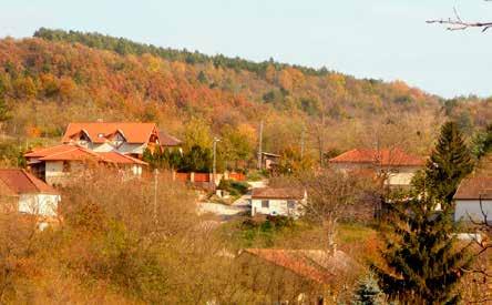 határozza-e meg, vagy