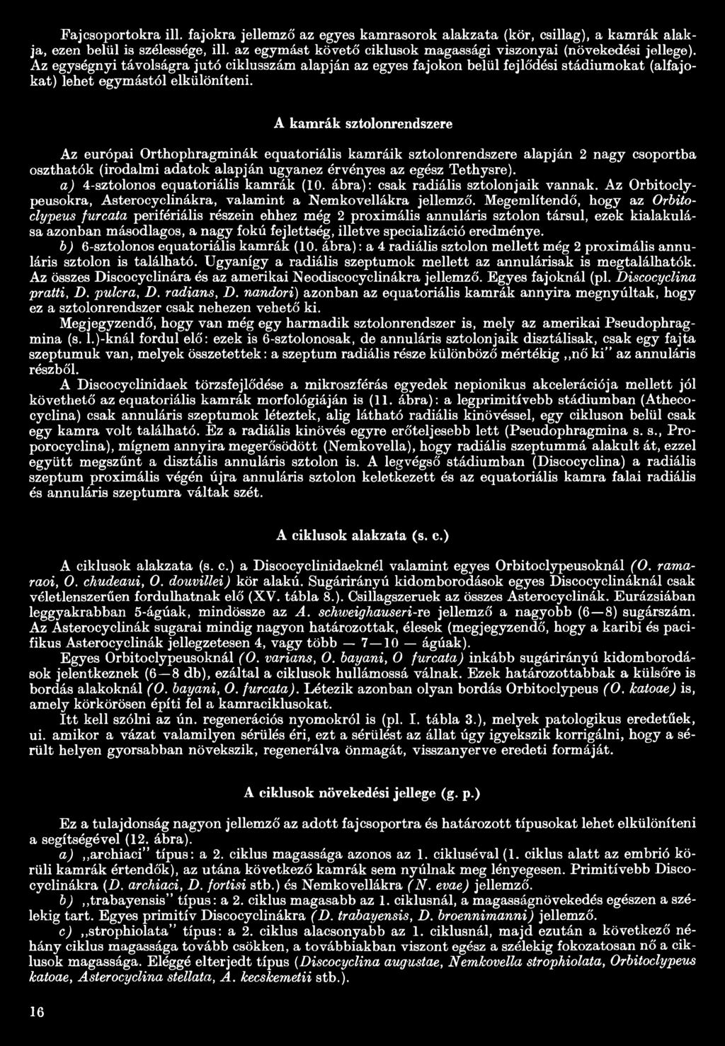 A kamrák sztolonrendszere Az európai Orthophragminák equatoriális kamráik sztolonrendszere alapján 2 nagy csoportba oszthatók (irodalmi adatok alapján ugyanez érvényes az egész Tethysre).