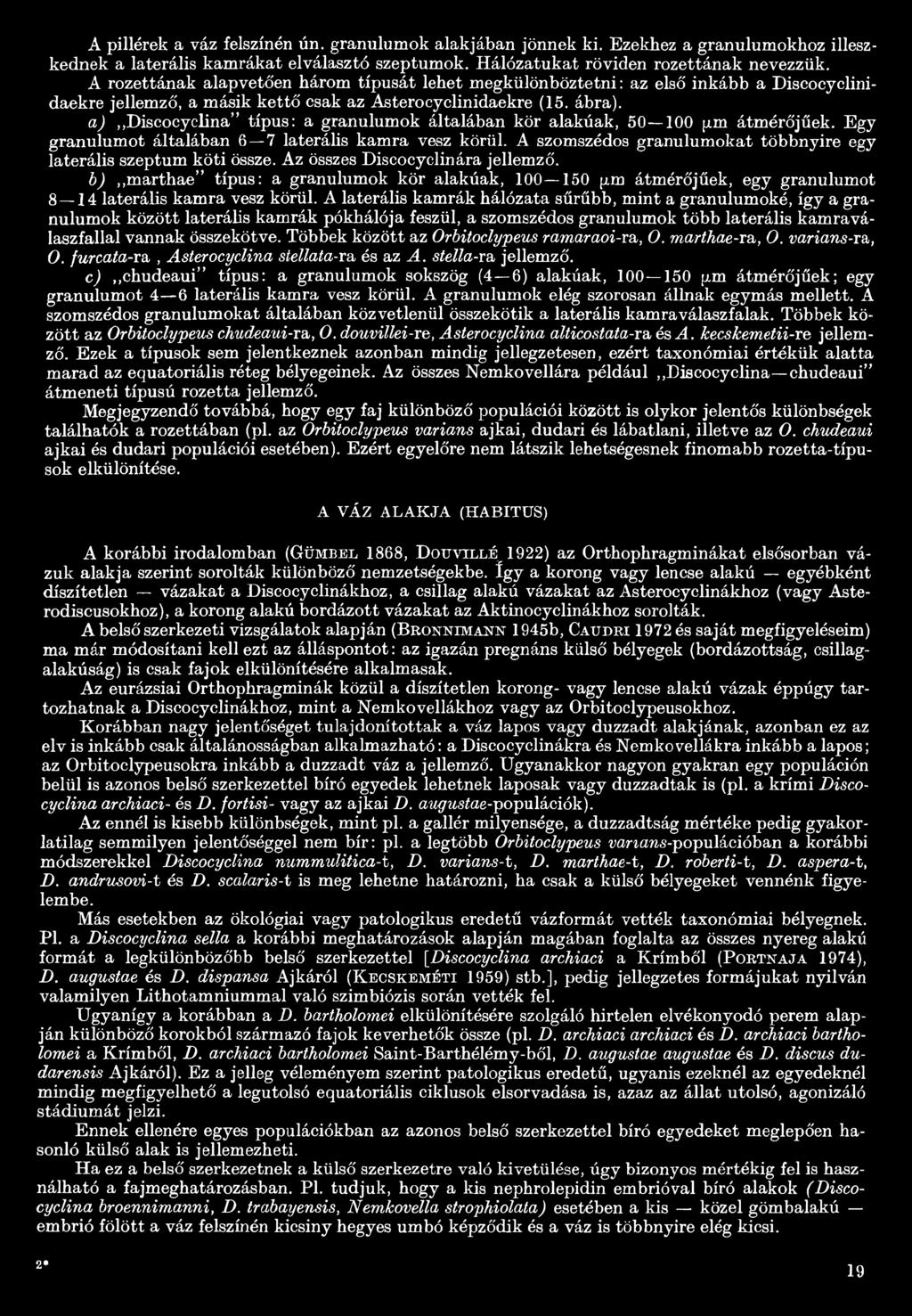 a) Discocyclina típus: a granulumok általában kör alakúak, 50 100 y.m átmérőjűek. Egy granulumot általában 6 7 laterális kamra vesz körül.