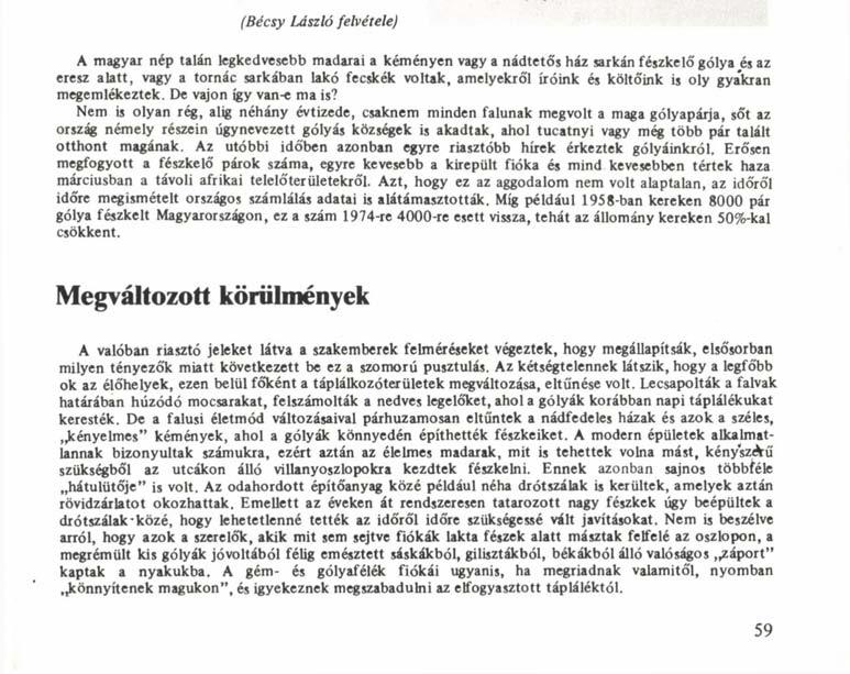 I fórum v -/ Gólyák a villanyoszlopon (Bécsy László felvétele) A magyar nép talán legkedvesebb madarai a kéményen vagy a nádtetős ház sarkán fészkelő gólya és az eresz alatt, vagy a tornác sarkában