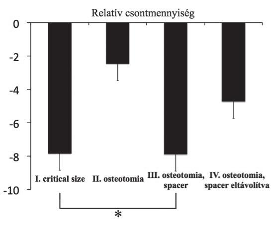 ábra A combcsont osteoblast aktivitása osteotomia végzése után; a 99mTc MDP izotóp az aktív osteoblastokat jelöli.