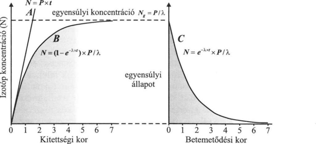 ábra A kozmogén izotóp koncentráció változása a kőzetekben a kitettség (A, B) és a betemetődés óta eltelt idő (C) függvényében.