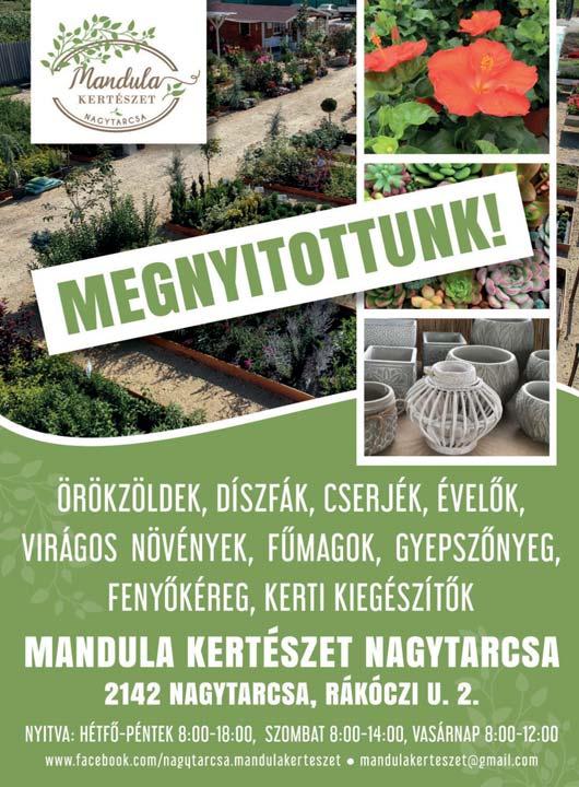 és talpmasszőr.