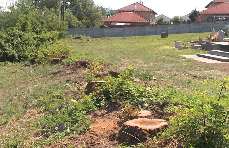 ÖNKORMÁNYZAT Javul-e a közeljövőben a tömegközlekedés?
