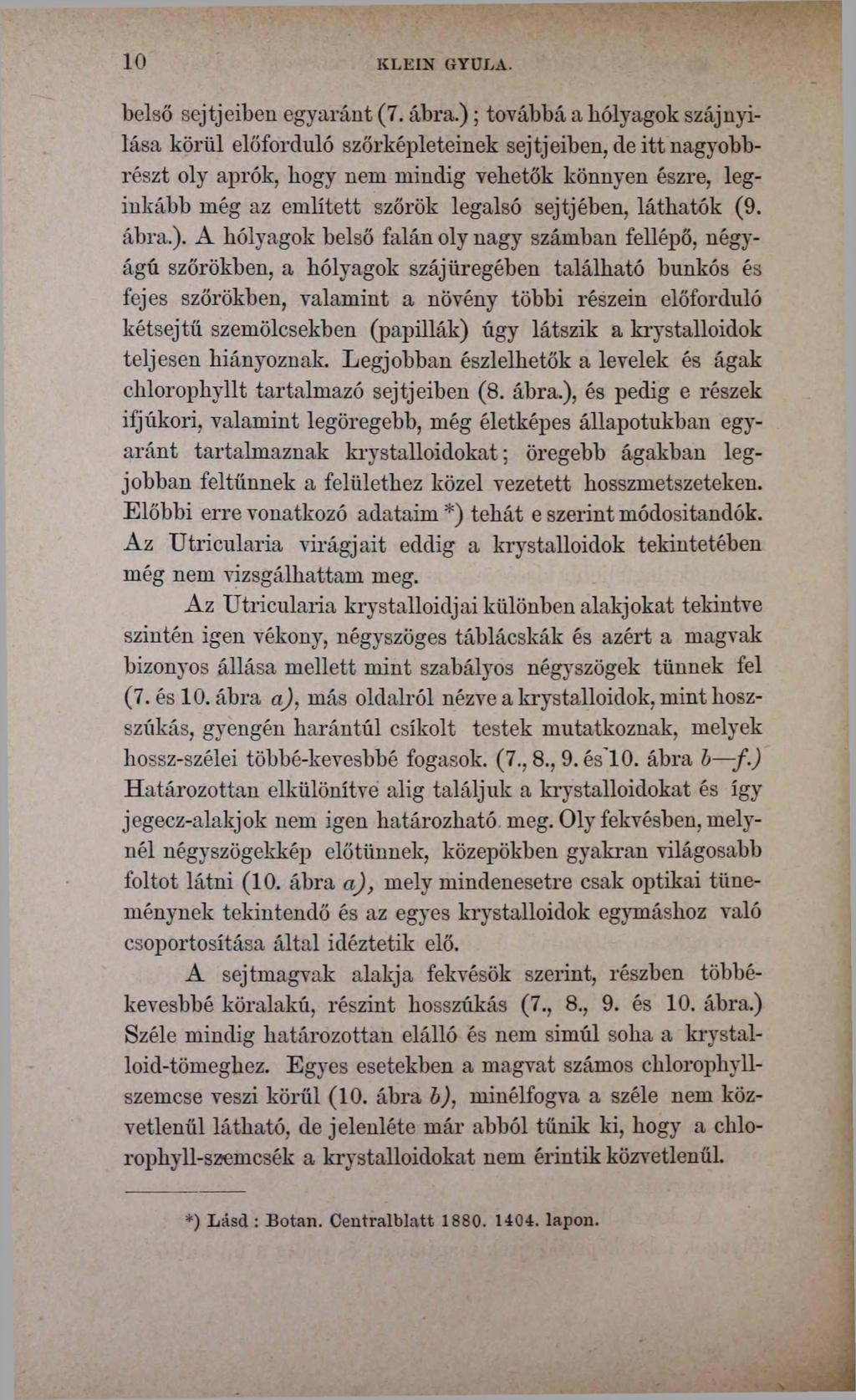10 KLEIN GYULA. belső sejtjeiben egyaránt (7. ábra.