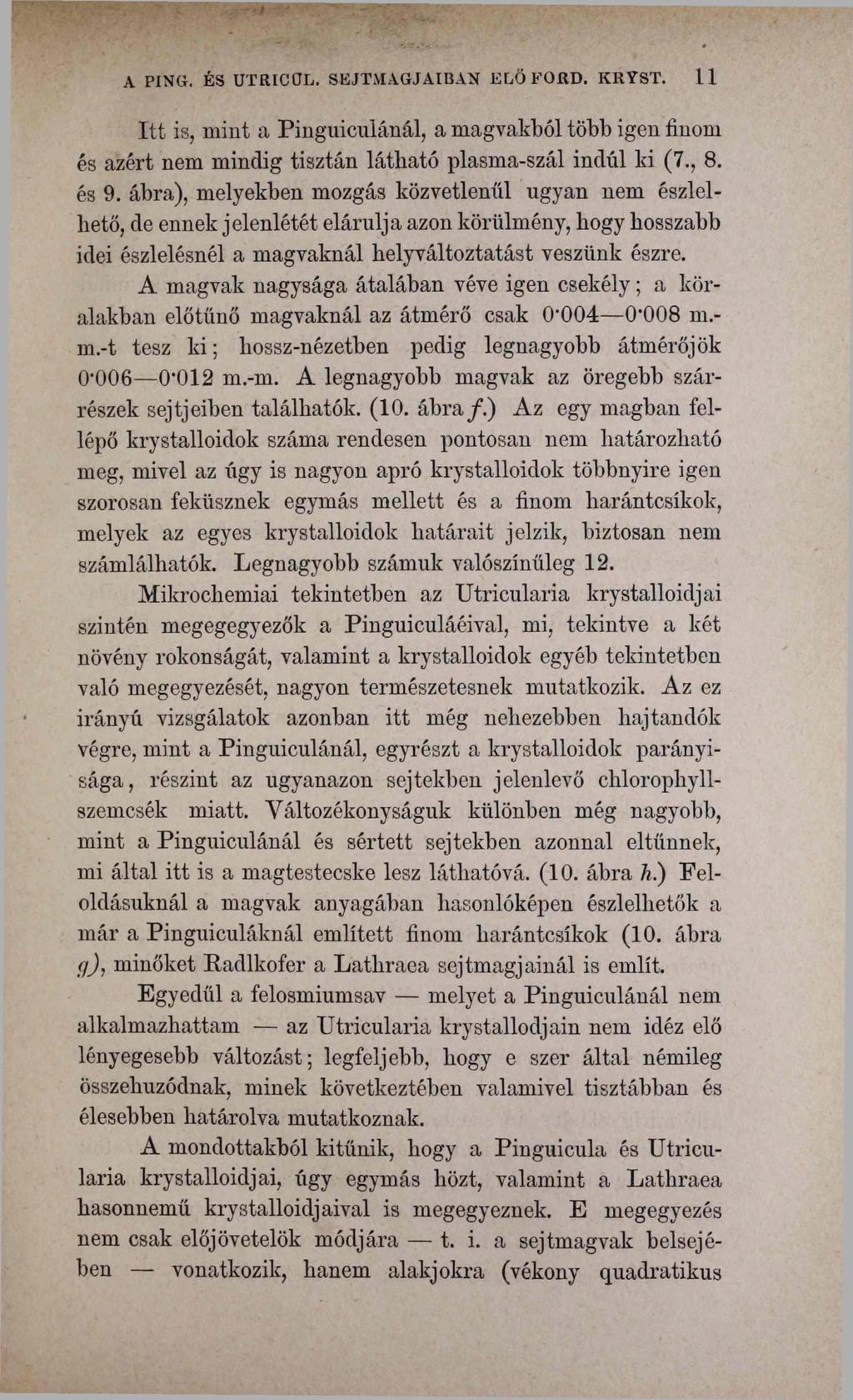 A PING. ÉS UTRICÜL. SEJTMAGJAIBAN ELŐ FORD. KRYST. 11 Itt is, mint a Pinguiculánál, a magvakból több igen finom és azért nem mindig tisztán látható plasma-szál indúl ki (7., 8. és 9.