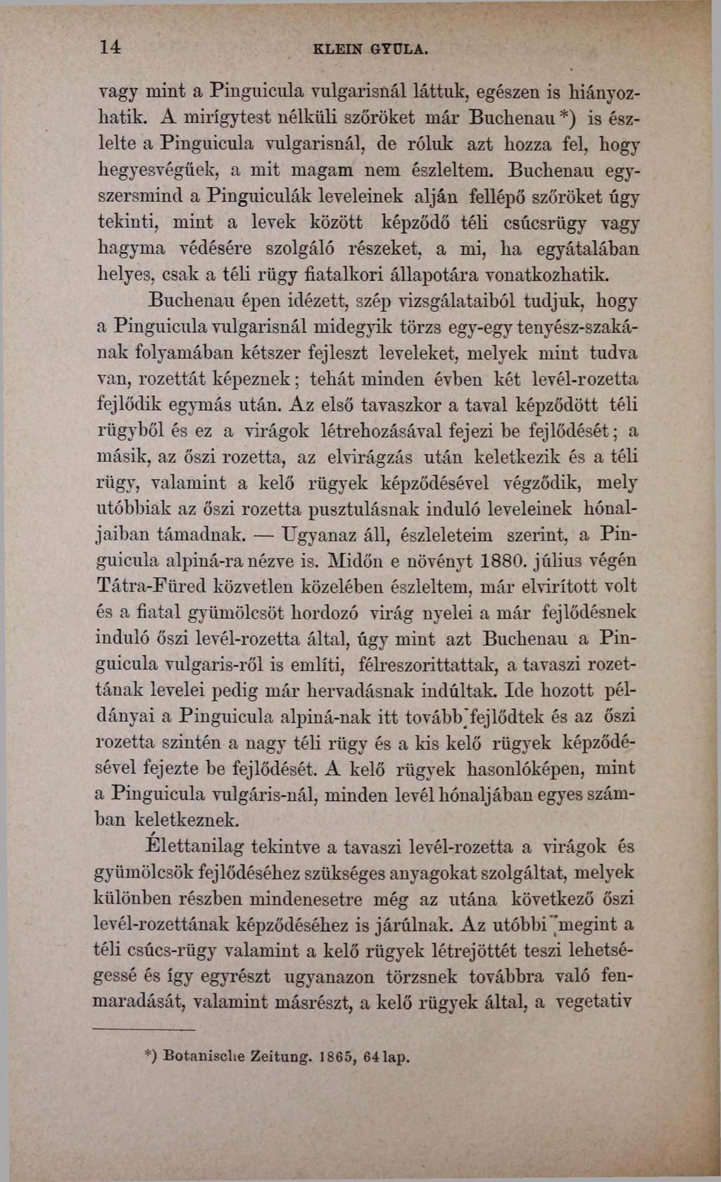 1 4 KLEIN GYULA. vagy mint a Pinguicula vulgárisnál láttuk, egészen is hiányozhatik.