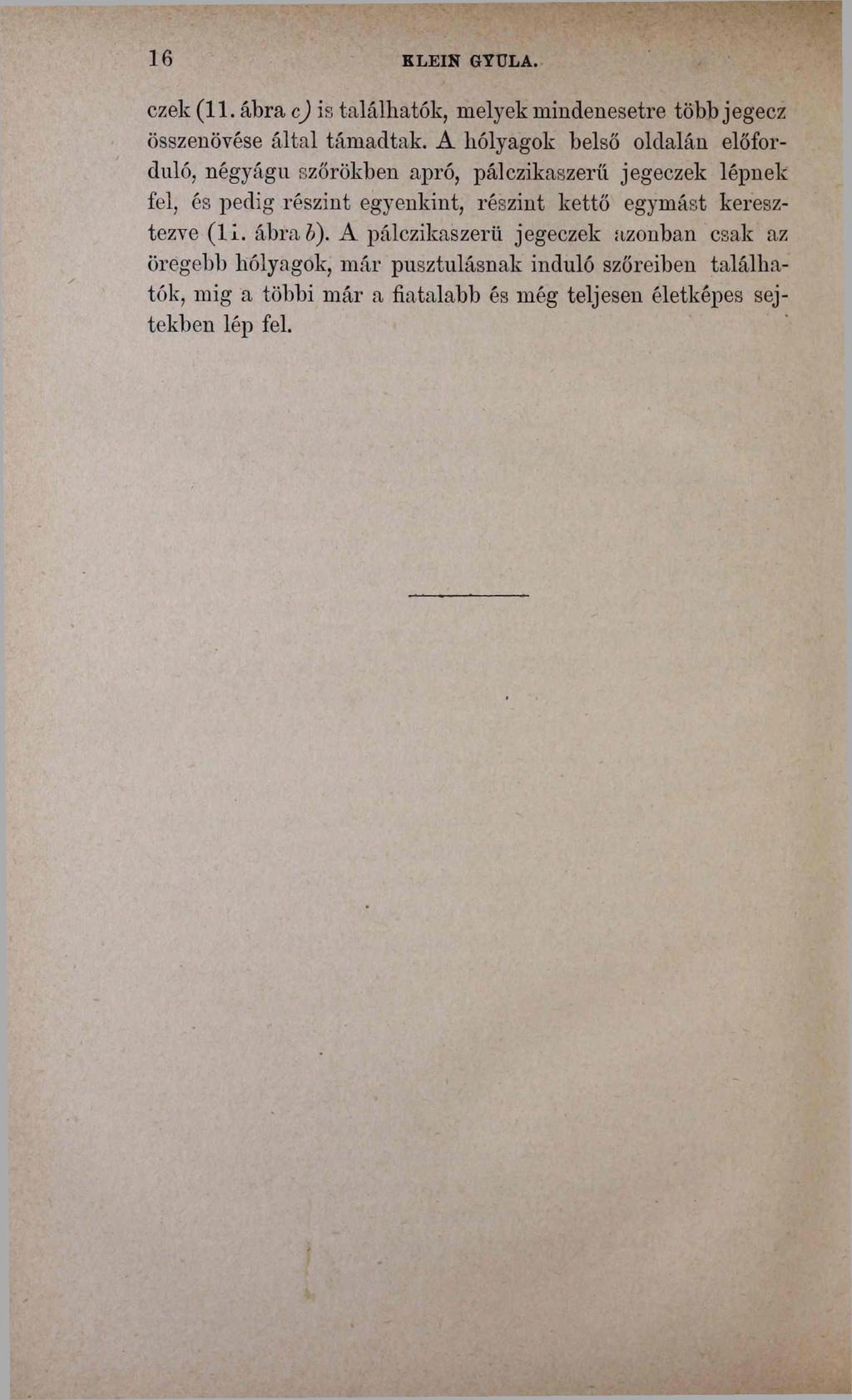 1 6 KLEIN GYULA. ezek (11. ábra c) is találhatók, melyek mindenesetre több jegecz összenövése által támadtak.