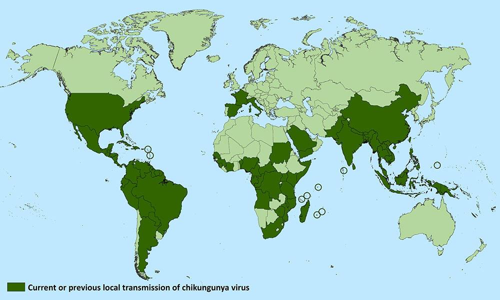 Chikungunya 2018