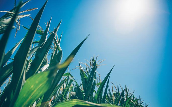 ClimaControl 3 Napjaink nagy problémája a klímaváltozás, amely hatását a mezőgazdaság is erőteljesen megérzi.