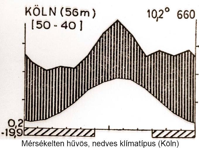 Mérsékelt övi