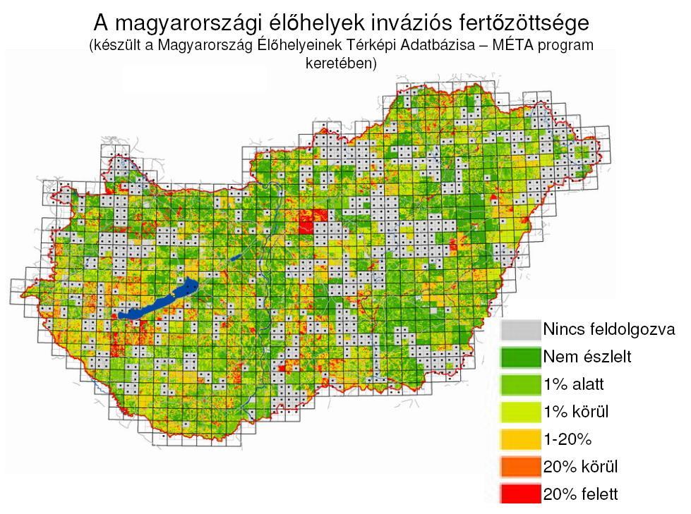 Néhány hazai