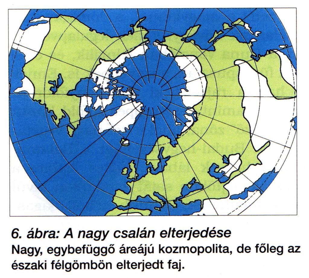 Área típusok: