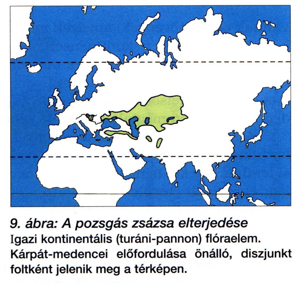 Diszkontinuus