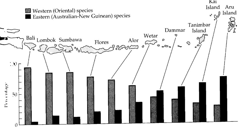 Viszonylag szűk tengerívek is biogeográfiai szűrőt jelentenek kevésbé mobilis élőlények számára Jawa és Új-Guinea