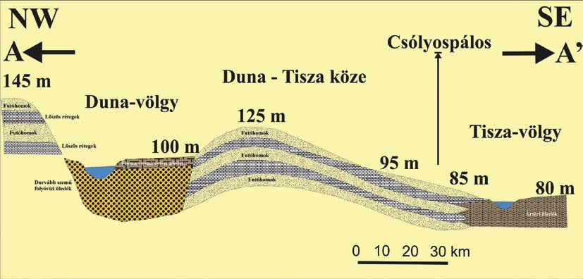 3b. ábra. A Duna Tisza közének felszínközeli rétegeinek morfológiai viszonyai és földtani felépítése (Miháltz 1953 nyomán) Figure 3b.