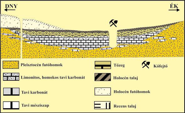 8. ábra. A csólyospálosi réti mészkő és dolomit, valamint dolomitiszap lelőhely földtani szelvénye a kőfejtő helyzetével (Mucsi 1963 nyomán) Figure 8.
