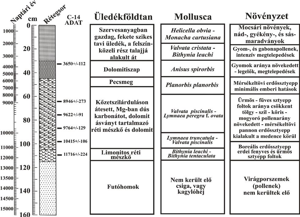 9. ábra. A csólyospálosi réti mészkő és dolomit, valamint dolomitiszap lelőhely földtani szelvénye és a szelvény környezettörténeti vizsgálatának eredményei (Sümegi et al. 2005) Figure 9.