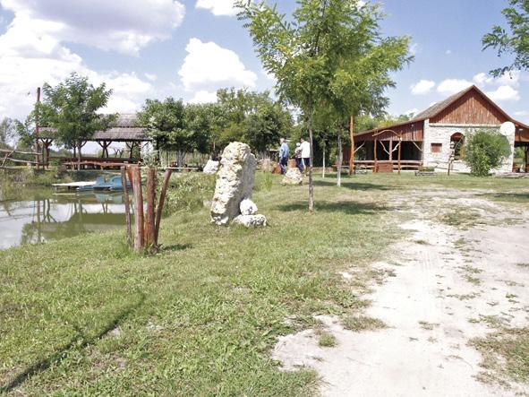 12. kép. Földmunka során feltárt réti mészkő a Hajdújárás közelében levő Sovin Salaš tanyán Picture 12.