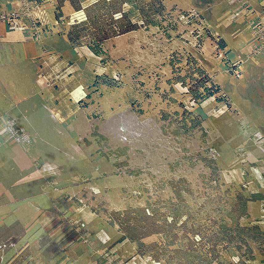 2. ábra Felhagyott és lakott tanyák a fülöpházi mintaterületen (36 km 2 ) 2007-ben. 3.