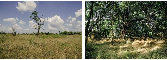térképeket és légifotókat használtam (1956-os Gauss-Krüger topográfiai térkép; 1978-as topográfiai térkép; 1989-es Gauss-Krüger topográfiai térkép valamint a 2005-ös légi ortofotó).