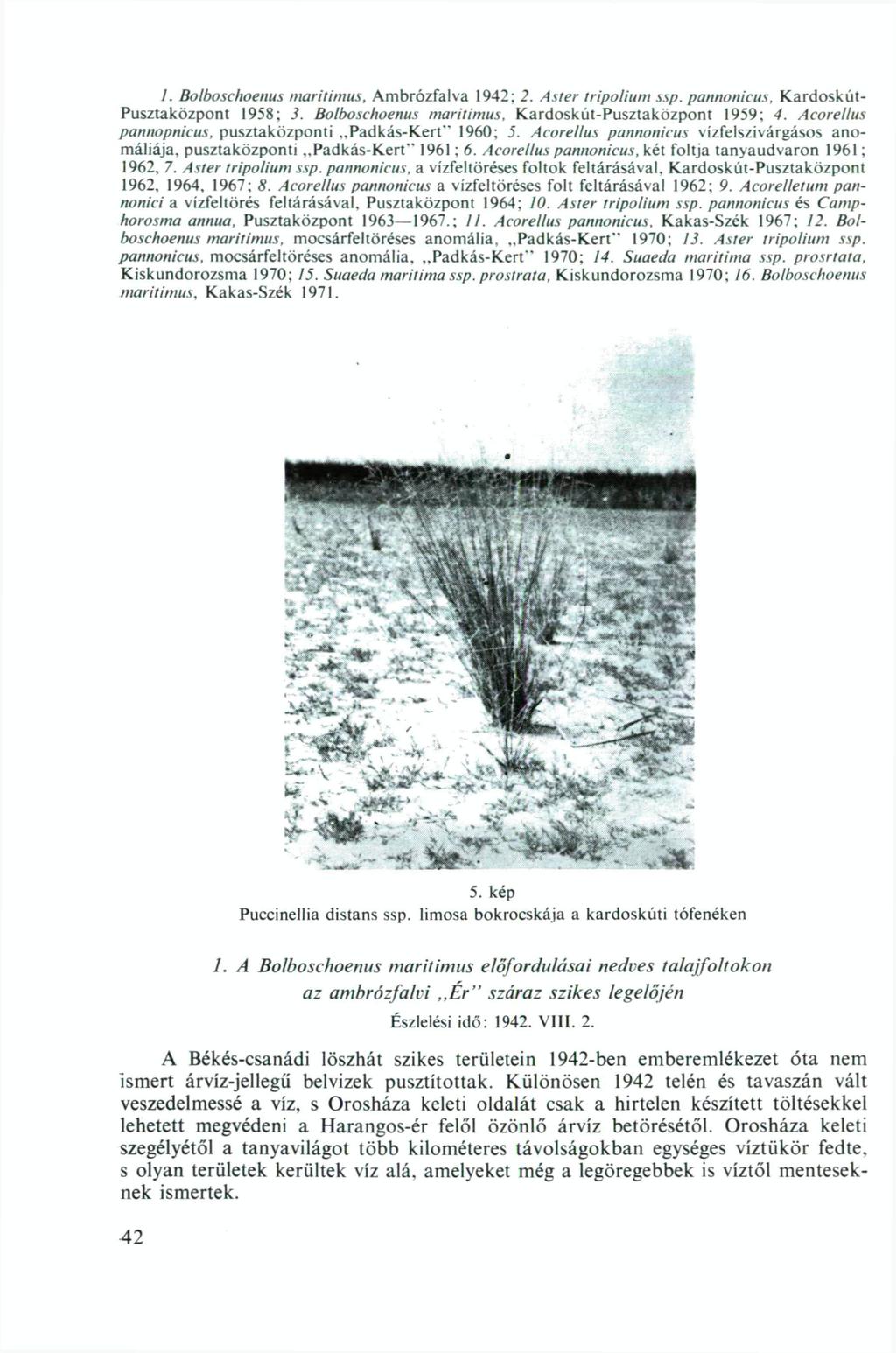 I. Bolboschoenus maritimus. Ambrózfalva 1942; 2. Aster tripolium ssp. pannonicus, KardoskútPusztaközpont 1958; 3. Bolboschoenus maritimus, Kardoskút-Pusztaközpont 1959; 4.