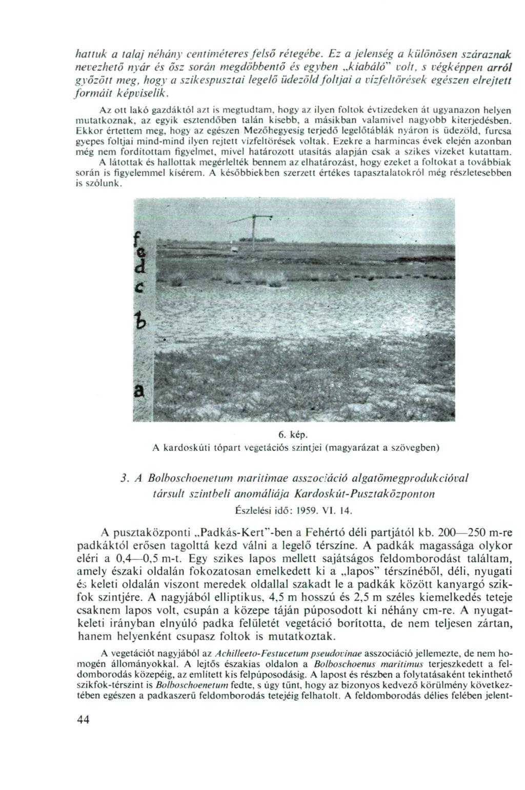 haltuk a talaj néhány centiméteres felső rétegébe. Ez a jelenség a különösen száraznak nevezhető nyár és ősz során megdöbbentő és egyben..kiabáló" volt.