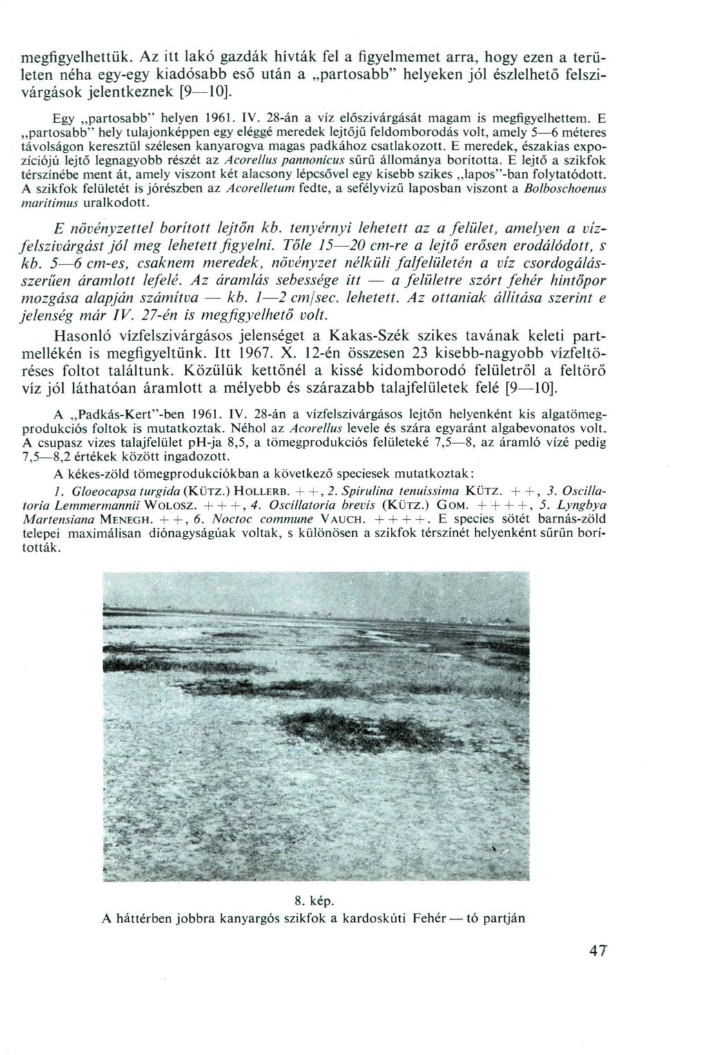megfigyelhettük. Az itt lakó gazdák hívták fel a figyelmemet arra, hogy ezen a területen néha egy-egy kiadósabb eső után a partosabb" helyeken jól észlelhető felszivárgások jelentkeznek [9 10].