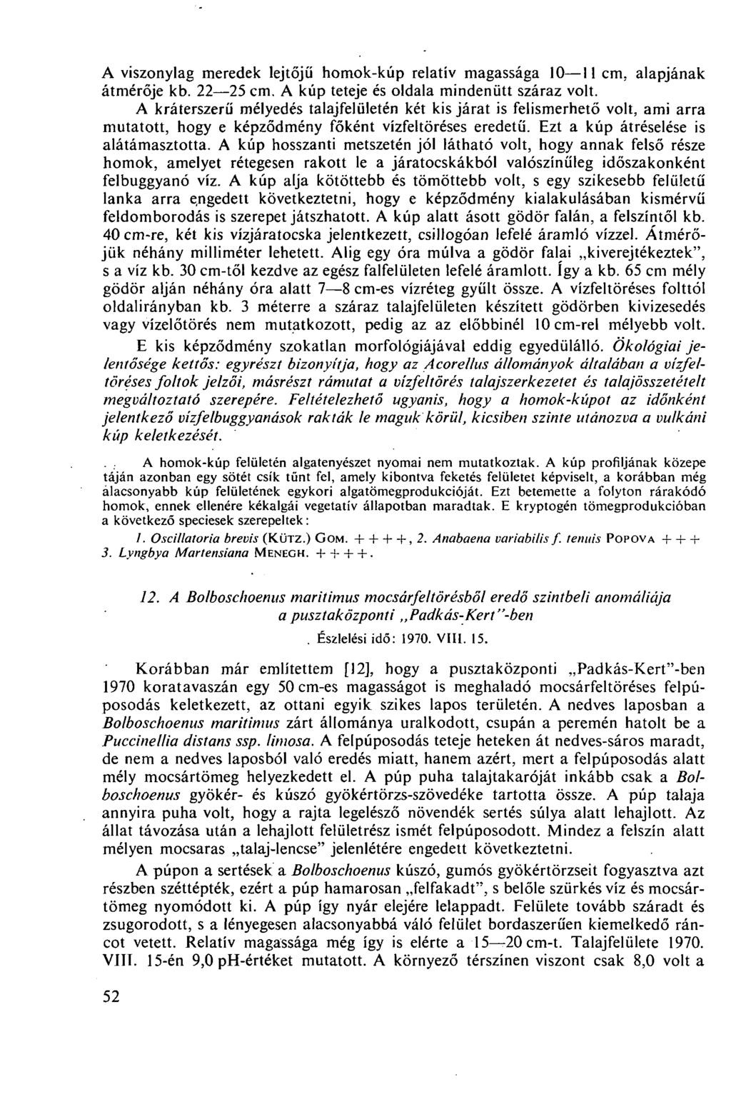 A viszonylag meredek lejtőjű homok-kúp relatív magassága 10 11 cm, alapjának átmérője kb. 22 25 cm. A kúp teteje és oldala mindenütt száraz volt.