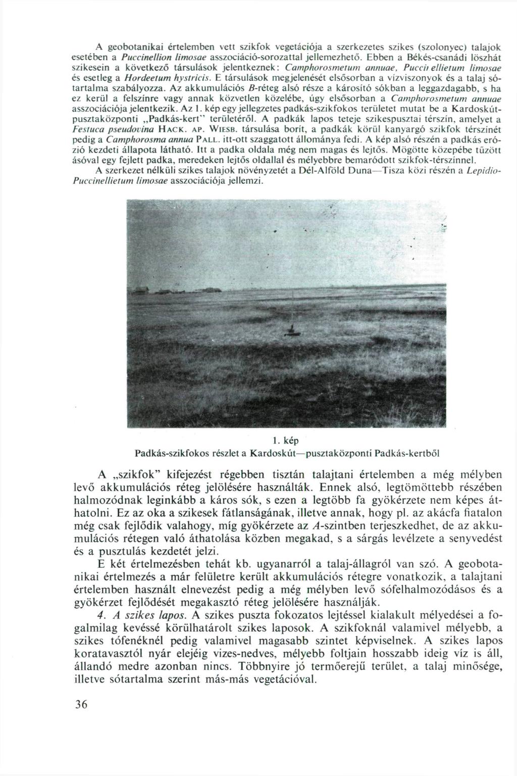 A geobotanikai értelemben vett szikfok vegetációja a szerkezetes szikes (szolonyec) talajok esetében a Puccinellion limosae asszociáció-sorozattal jellemezhető.