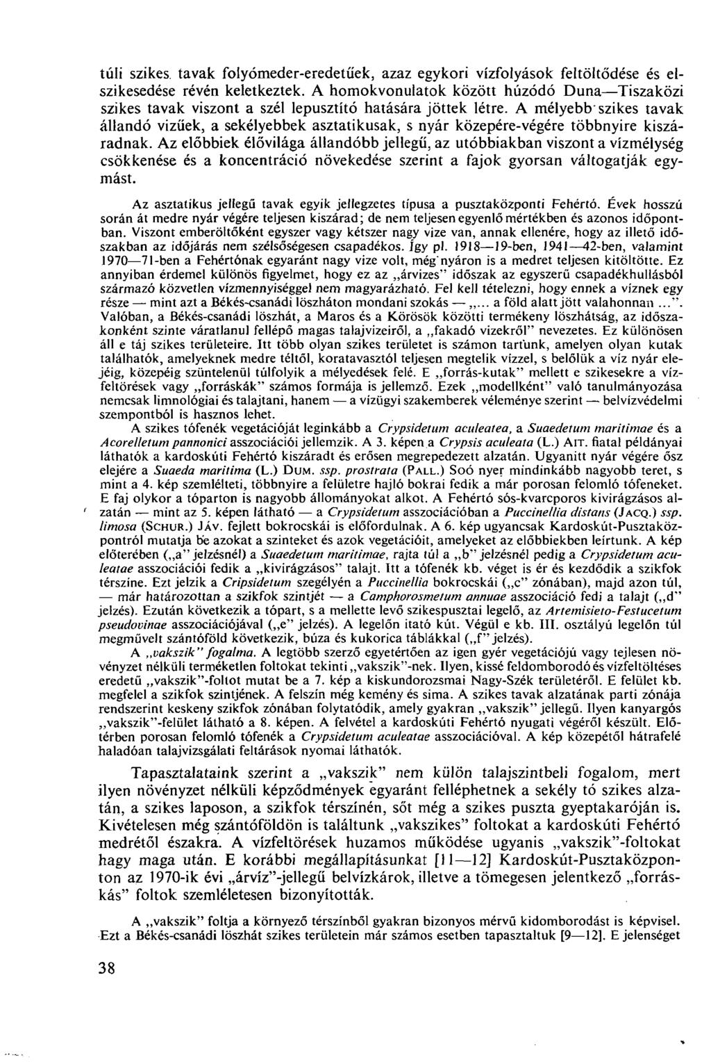 túli szikes, tavak folyómeder-eredetűek, azaz egykori vízfolyások feltöltődése és elszikesedése révén keletkeztek.