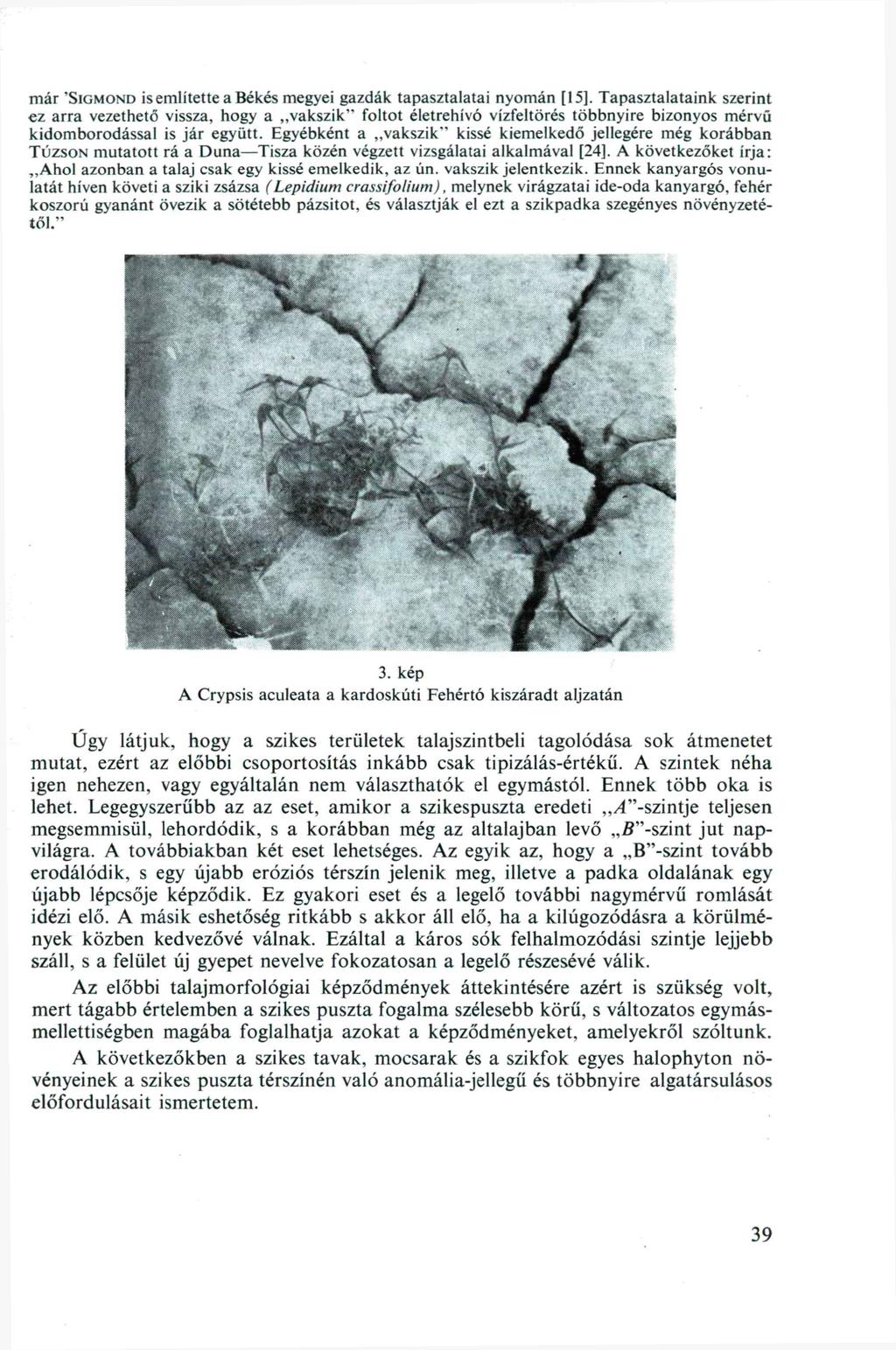már 'SIGMOND is említette a Békés megyei gazdák tapasztalatai n y o m á n [15].