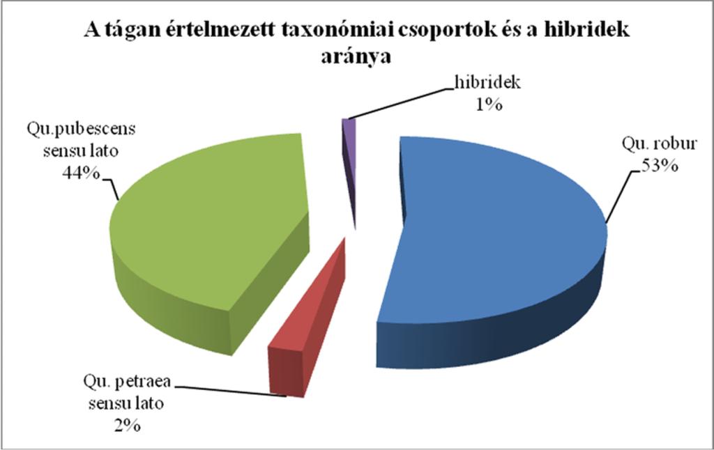 A taxonok megoszlása a vizsgált területen Taxon Egyedszám Megoszlás 198 52,7% Qu. ur Qu. petraea 2 0,5% Qu. dalechampii 5 1,3% Qu. petraea dalechampii 2 0,5% Qu. pubescens 29 7,7% Qu.