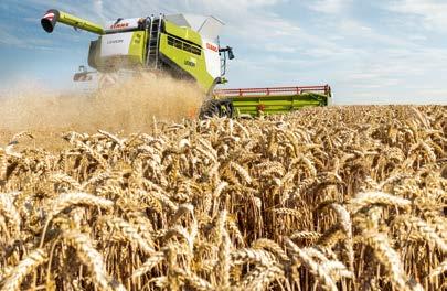 ROTO PLUS másodlagos leválasztás. Az APS-től érkező egyenletes terményáram ideális előfeltételeket teremt a ROTO PLUS másodlagos leválasztás számára.