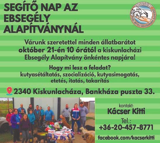 A kutyák: az önsétáltató állatok, kutyák számára a legnagyobb veszélyt az autók, valamint a vadászokkal, rókacsapdákkal való találkozások jelentik.