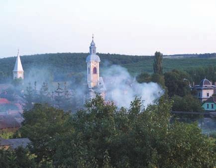 Közérdekű Mi történik, ha valaki begyújtja a kerti füstgyárat? Barsi Hajnalka Hazánkban széles körben elterjedt népbetegség a kerti hulladékok és az avar égetése.