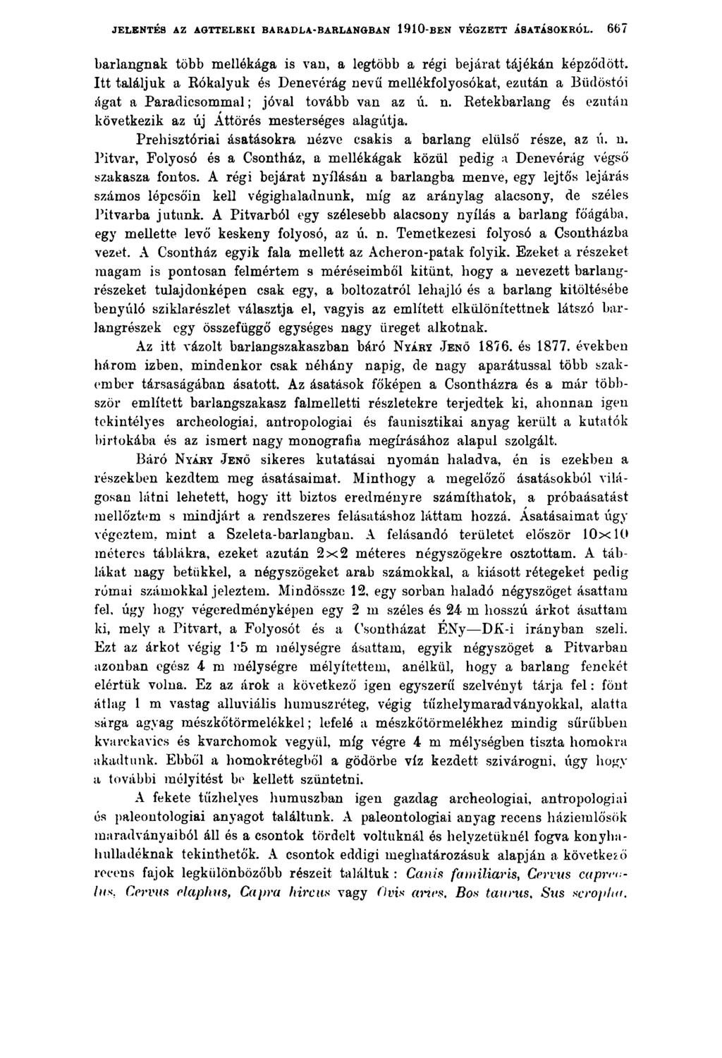 JELENTÉS AZ AGTTELEKI BARADLA-BARLANGBAN 1910-BEN VÉGZETT ÁSATÁSOKRÓL. 66 7 barlangnak több mellékága is van, a legtöbb a régi bejárat tájékán képződött.