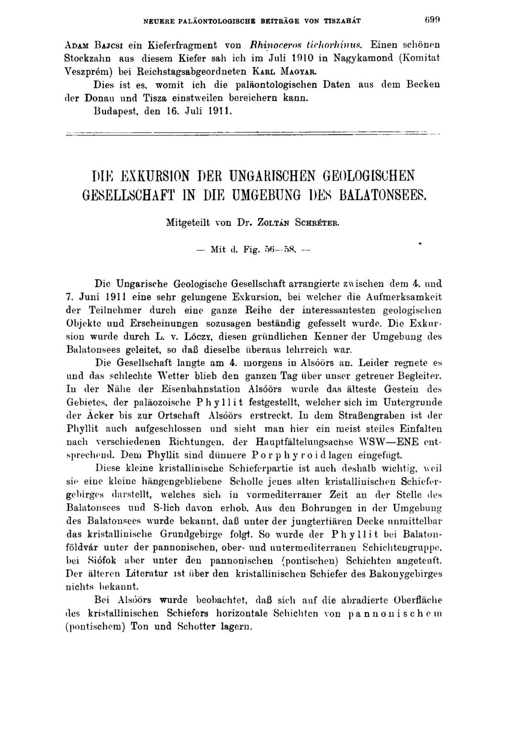NEUERE PALÄONTOLOGlSCHE BEITRÄGE VON TISZAHÁT 099 A dam B ajcsi ein Kieferfragment von Bhinoceros tichorhinm.