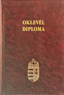feladat egyetemi éveik utolsó nagy feladata megoldásán dolgoznak.