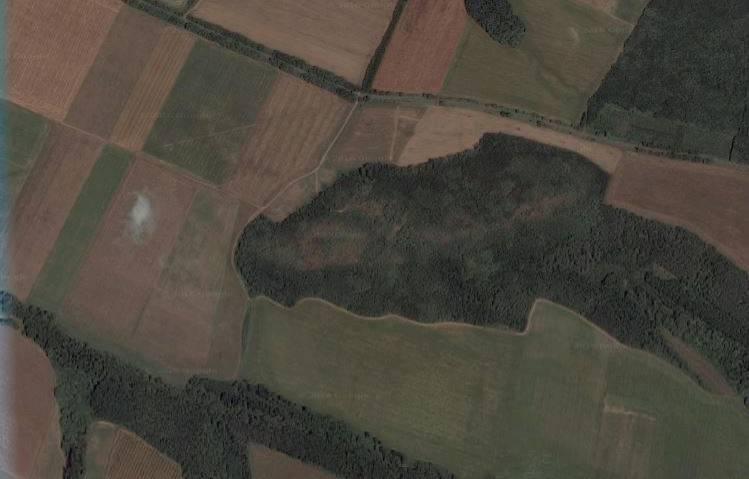 TOLMÁCS 34 ALÁTÁMASZTÓ MUNKARÉSZEK 5. 0162 HRSZ-Ú ERDŐTERÜLETRE VONATKOZÓAN A BEÉPÍTÉSI PARAMÉTEREK MÓDOSÍTÁSA 5.1. TERVEZÉSI TERÜLET BEMUTATÁSA 5.1.1. TERVEZÉSI TERÜLET ELHELYEZKEDÉSE A 0162 hrsz ingatlan a település külterületén a diósjenői településhatár mentén, a 12122.
