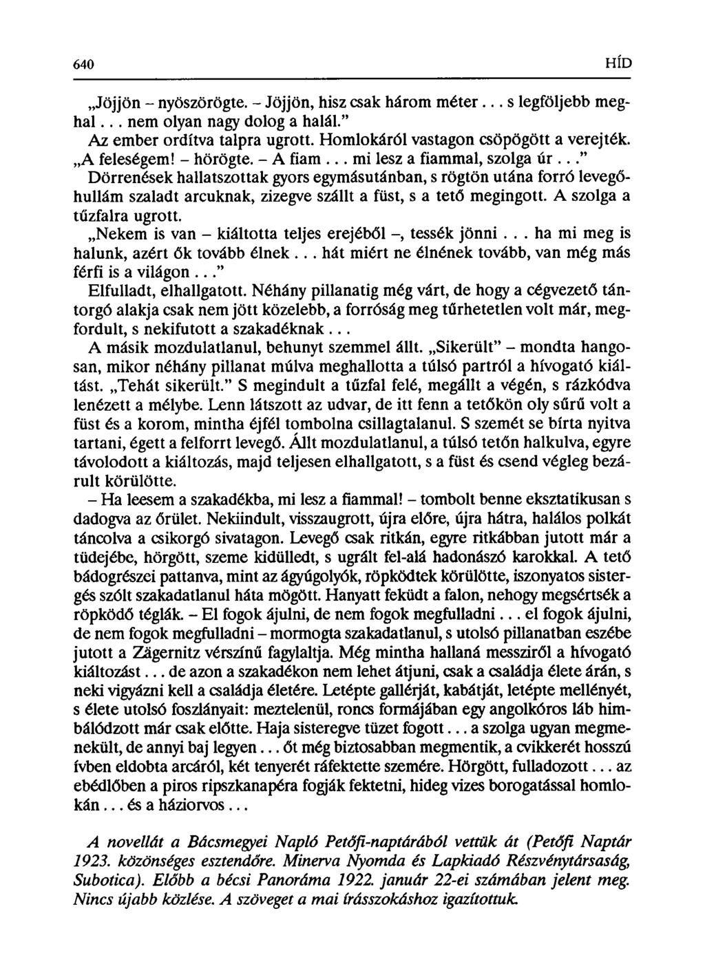 Jöjjön - nyöszörögte. - Jöjjön, hisz csak három méter... s legföljebb meghal... nem olyan nagy dolog a halál." Az ember ordítva talpra ugrott. Homlokáról vastagon csöpögött a verejték. A feleségem!