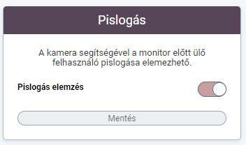 2.2 Kamera 2.2.1 Pislogás Opcionálisan elérhető menü: Adminisztrátor állítja be, hogy a felhasználónak van-e jogosultsága az alap pislogás beállítás egyéni módosítására. 30.