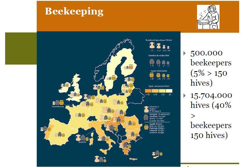 méhészkedés > 500 ezer ember (fő- vagy mellékjövedelem beporzás = növényfajok 84 %-a és az európai élelmiszergyártás 76 %-a valós gazdasági érték = 14,2 milliárd euró + ökológiai egyensúly