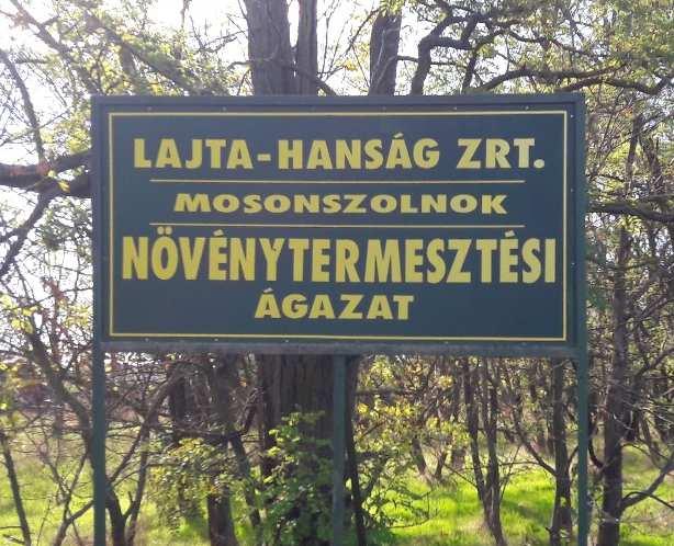 HIRDETÉSEK, REKLÁMTÁBLÁK Az utcaképhez a hirdetőtáblák, reklámfelületek, cégérek is ugyanúgy hozzátartoznak,