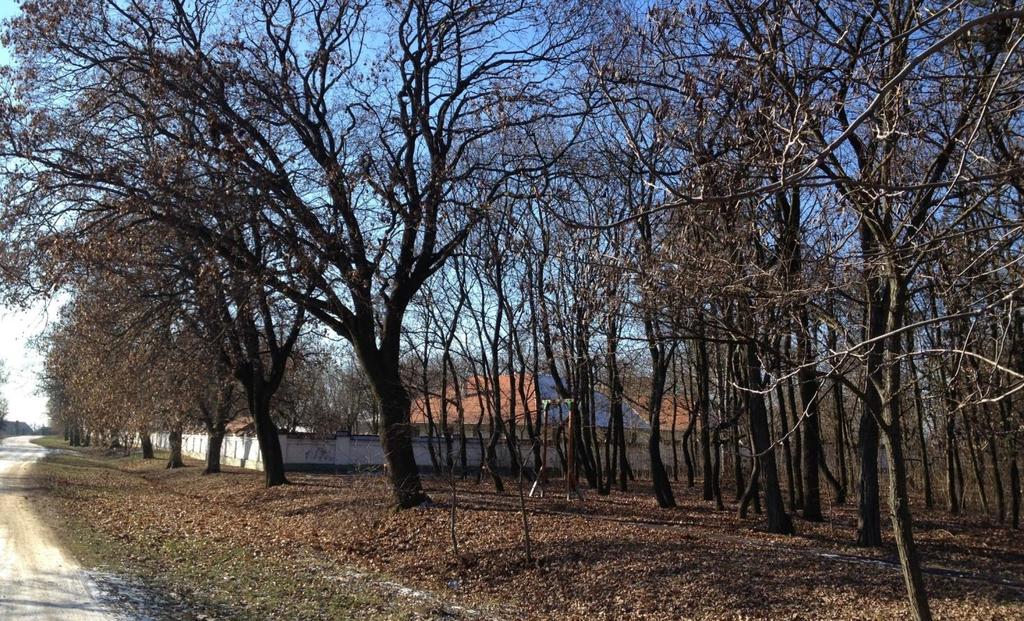 A belterület északi részén elhelyezkedő, fallal körülkerített, összefüggő terület.