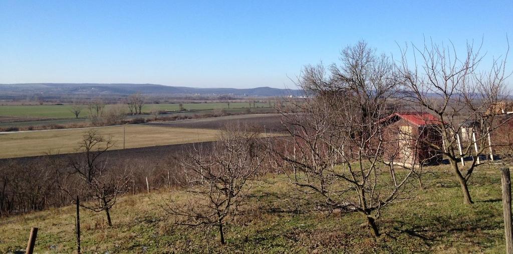 elsősorban a kert-, illetve a