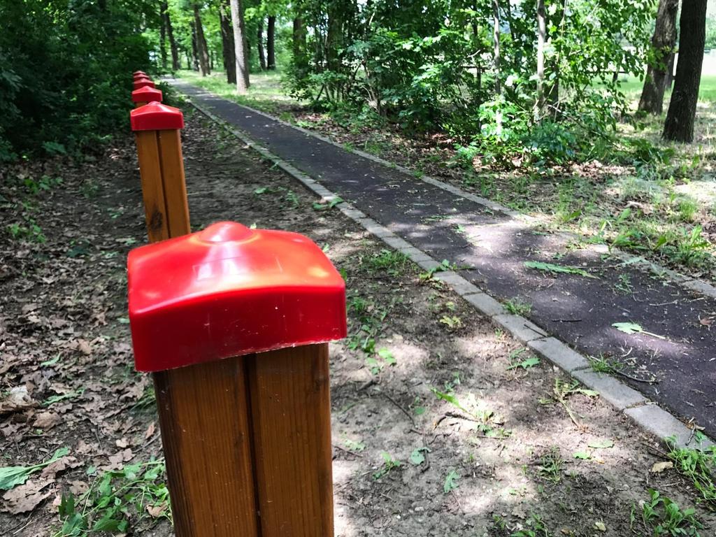 A parkerdő a község északi részétől indul keskenyen elnyúlva észak-déli irányban, 1200 m hosszan követve a természetes völgyet. Két erdőrészletből áll, melynek összterülete 10,2 ha.
