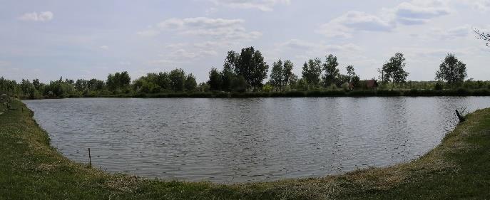 rövid életkorának.